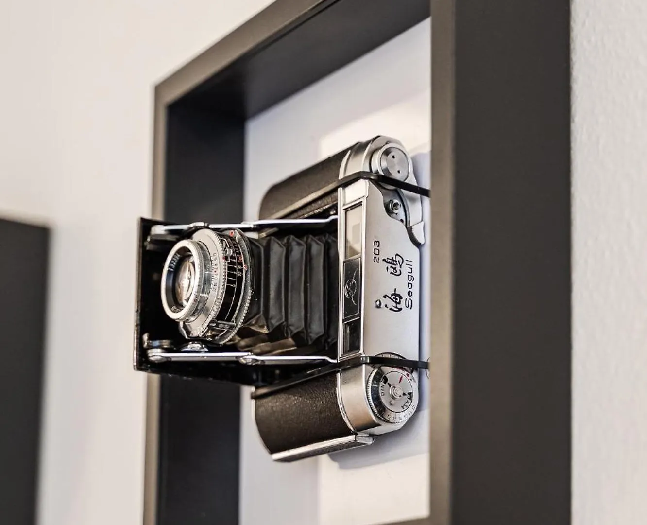 Casa Del Fotografo, A Due Passi Dall'Accademia Modena Itália